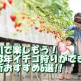 香川で楽しもう！2023年イチゴ狩りができる場所おすすめ6選!!