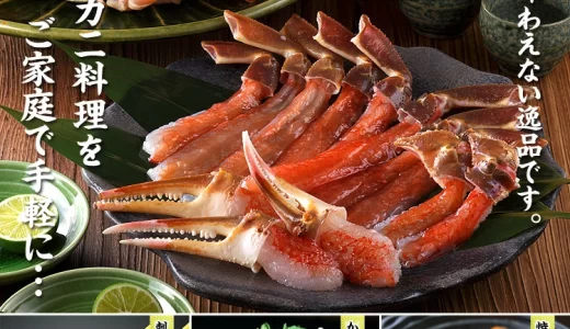 【鮮度と価格の秘密】越前かに職人甲羅組が選ばれる理由と失敗しない選び方